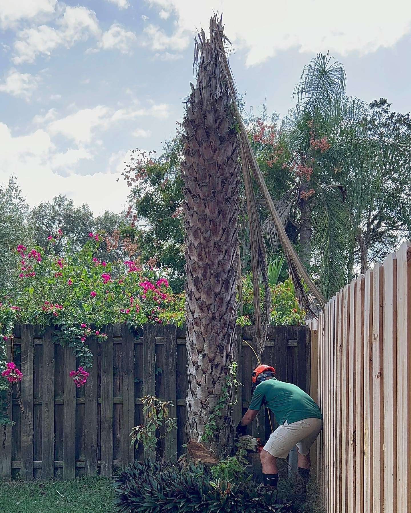 Residential Tree Services | Riverview, FL | Salva's Tree Cutting Service