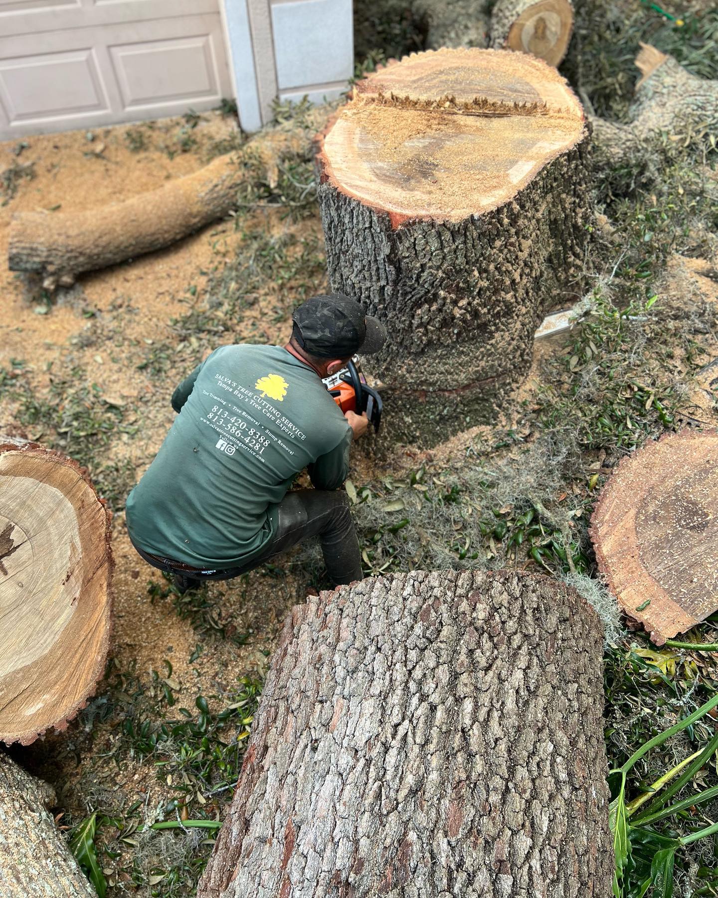 Man using chainsaw on tree stump, surrounded by cut logs. Green shirt, outdoor setting.