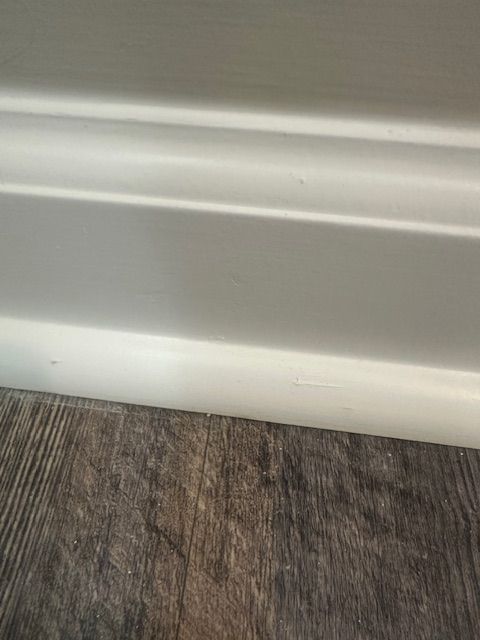 White molding against dark wood-look flooring; close-up.