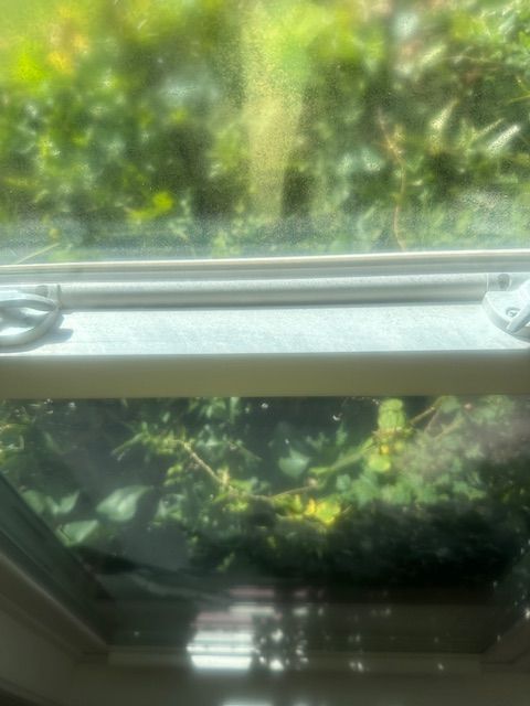A bright view of green trees and bushes seen through a partially open window on a sunny day.