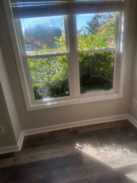 Window with a view of green foliage, set in a room with light-colored walls and dark flooring.
