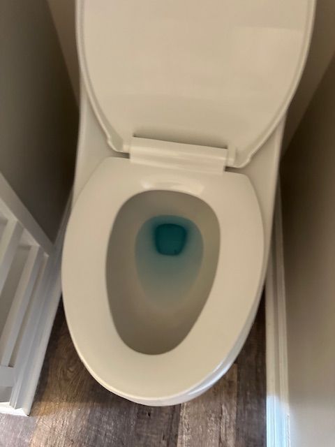 White toilet bowl with open lid, blue water inside, set against light walls and dark flooring.