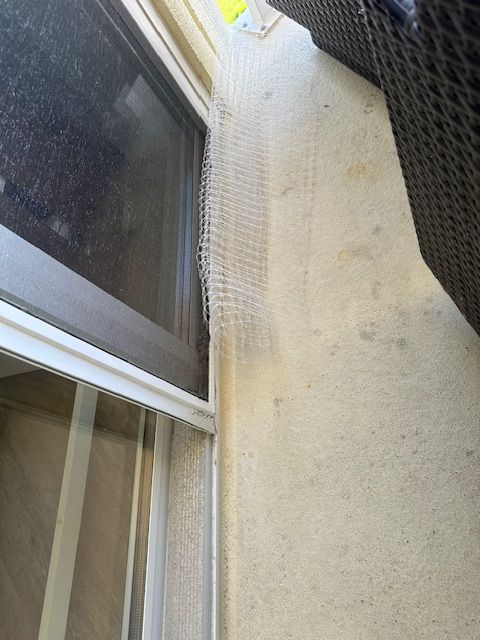 White mesh installed between a window and a stucco wall, likely to prevent pests.
