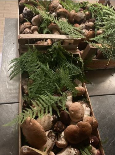 I nostri porcini freschi