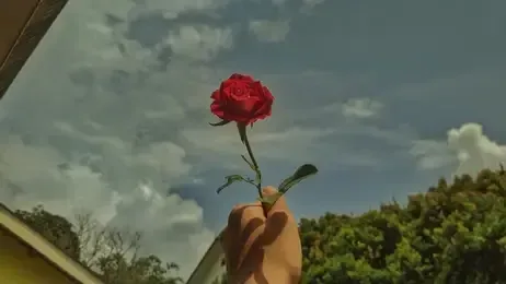 Cremation services in PA