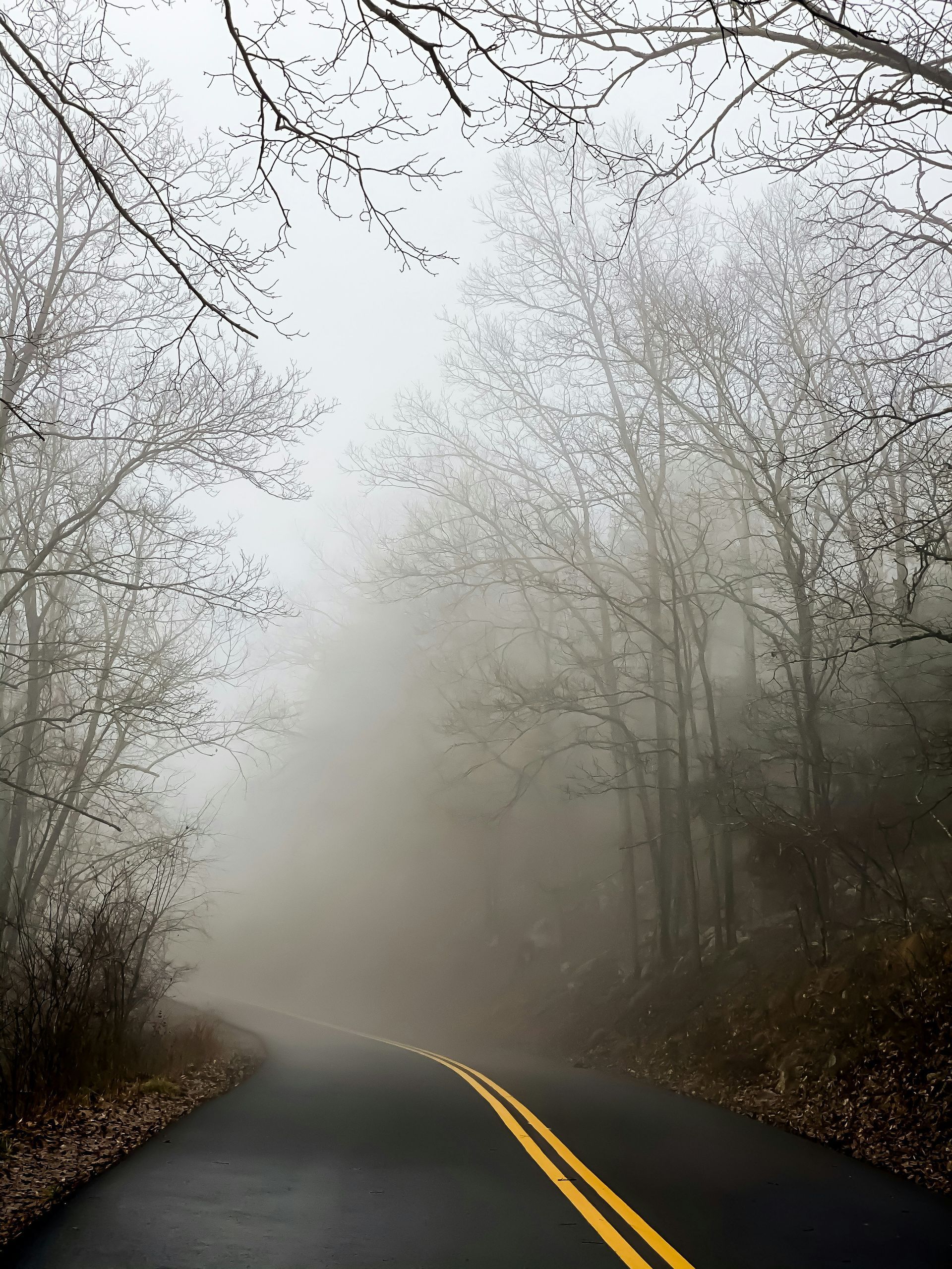 Greenbelt, MD cremations