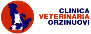Clinica Veterinaria Orzinuovi – Logo