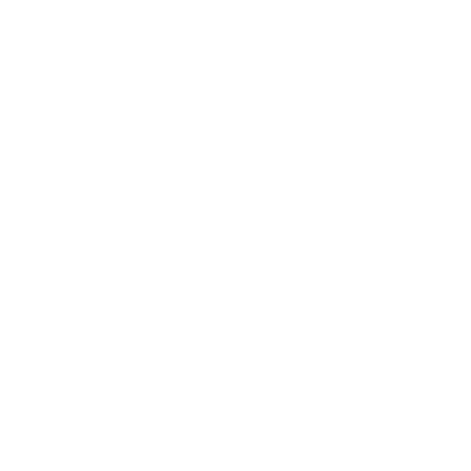 BJM &Eacute;lectricit&eacute; - Logo blanc 