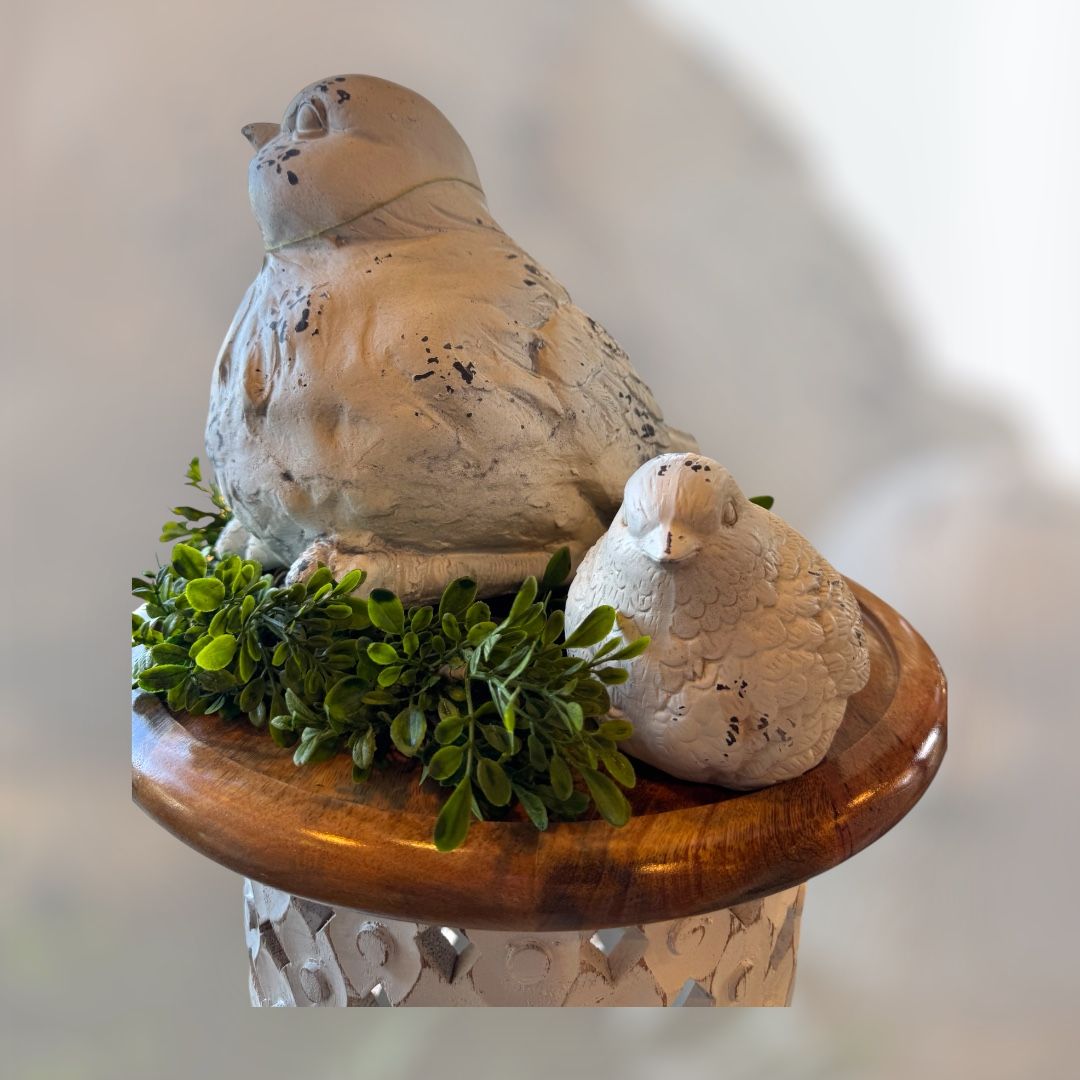 A couple of birds sitting on top of a wooden table