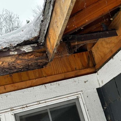 A white house with a gray roof is surrounded by bushes and trees