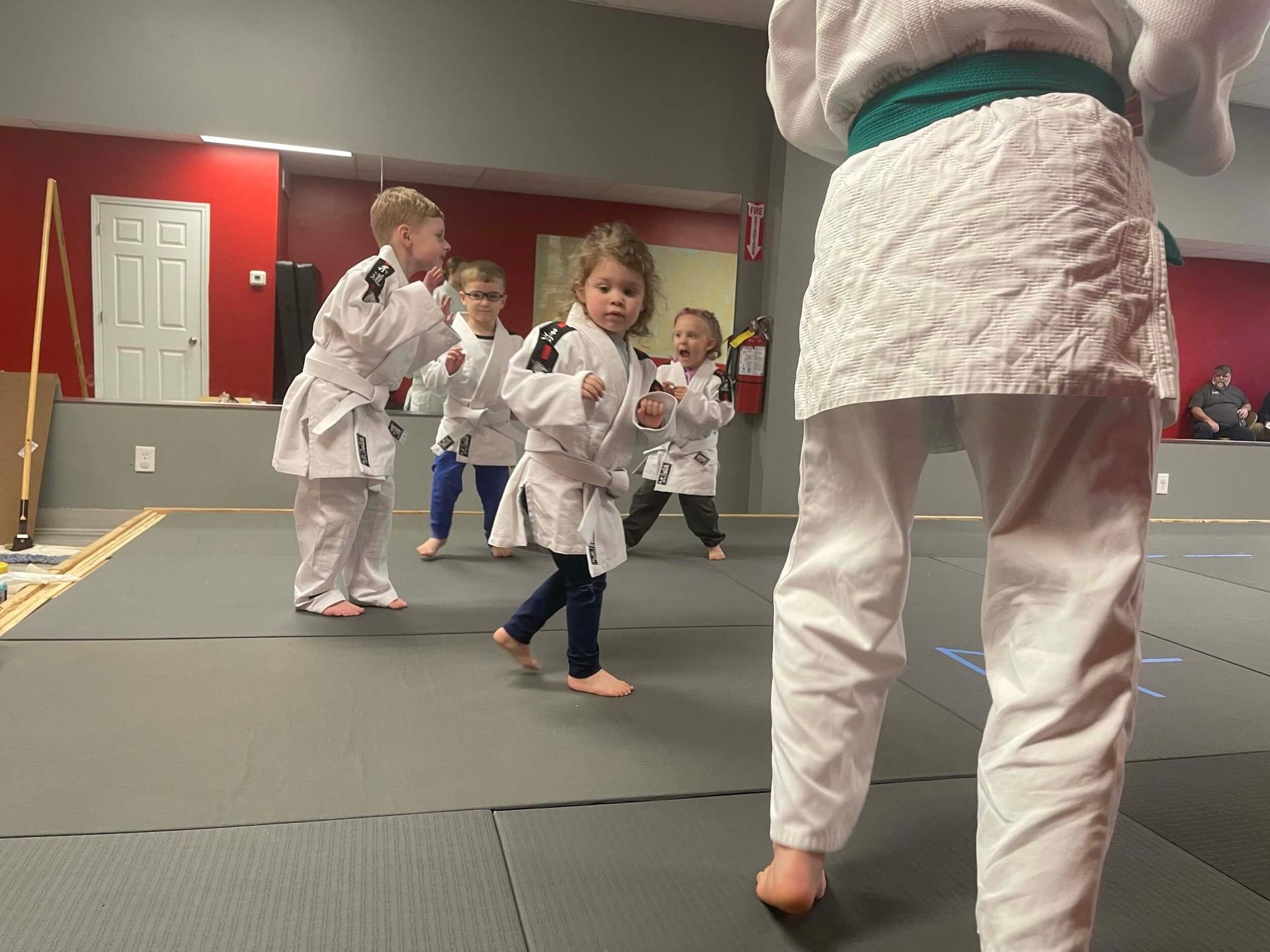 Wolf Pups: Judo