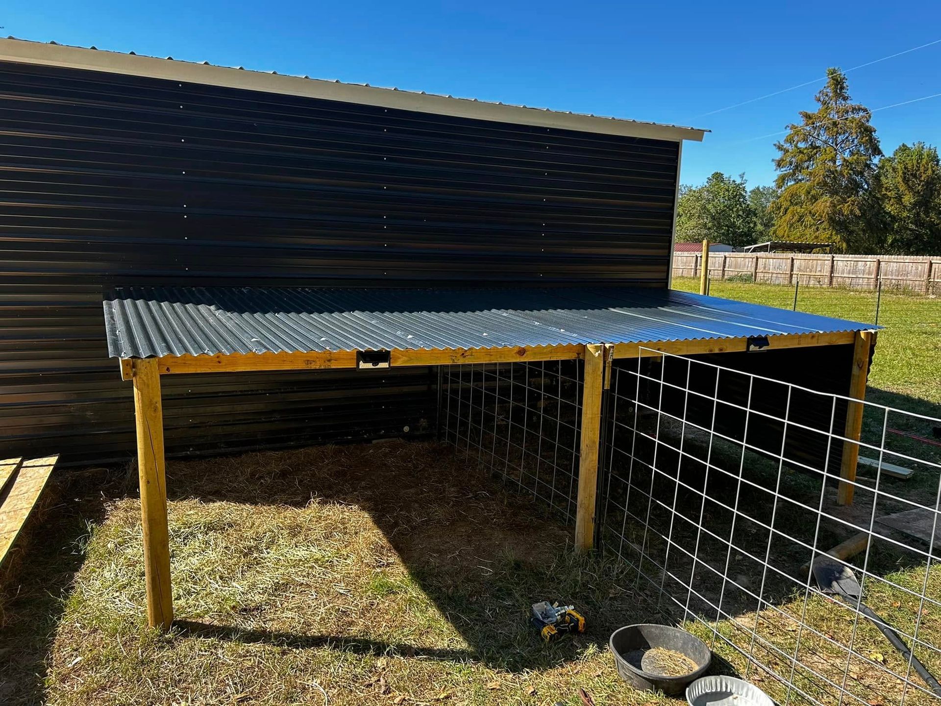 A pig pen with a corrugated metal roof next to a dark-sided shed under a blue sky.