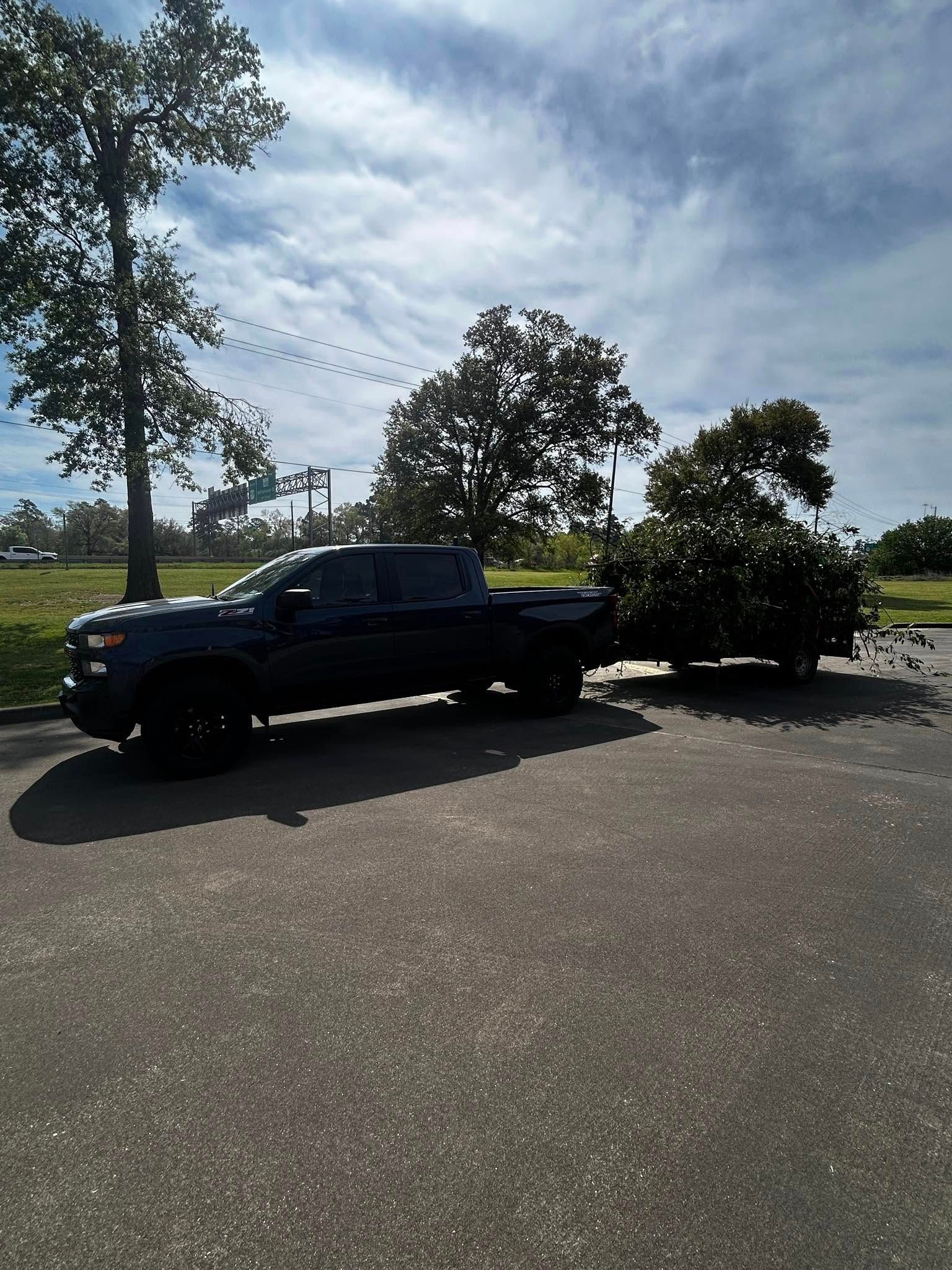Dark blue truck parked on asphalt; trees and bridge in background.