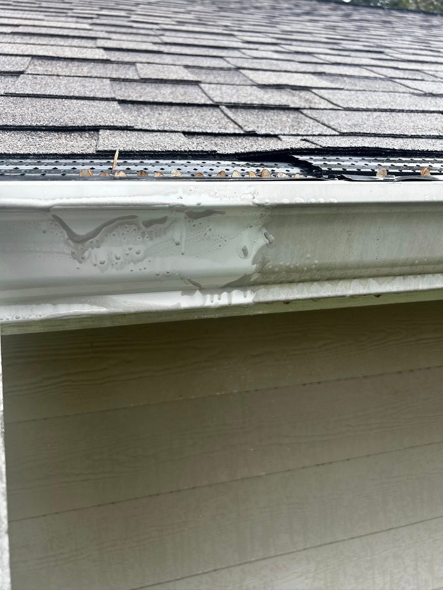 Gutter filled with debris and discolored along a roof with gray shingles and white siding.