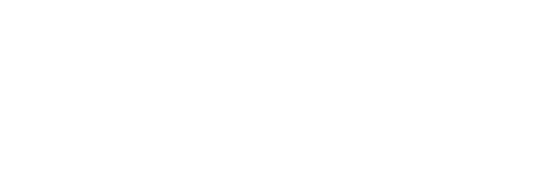 Orly The Matchmaker logo