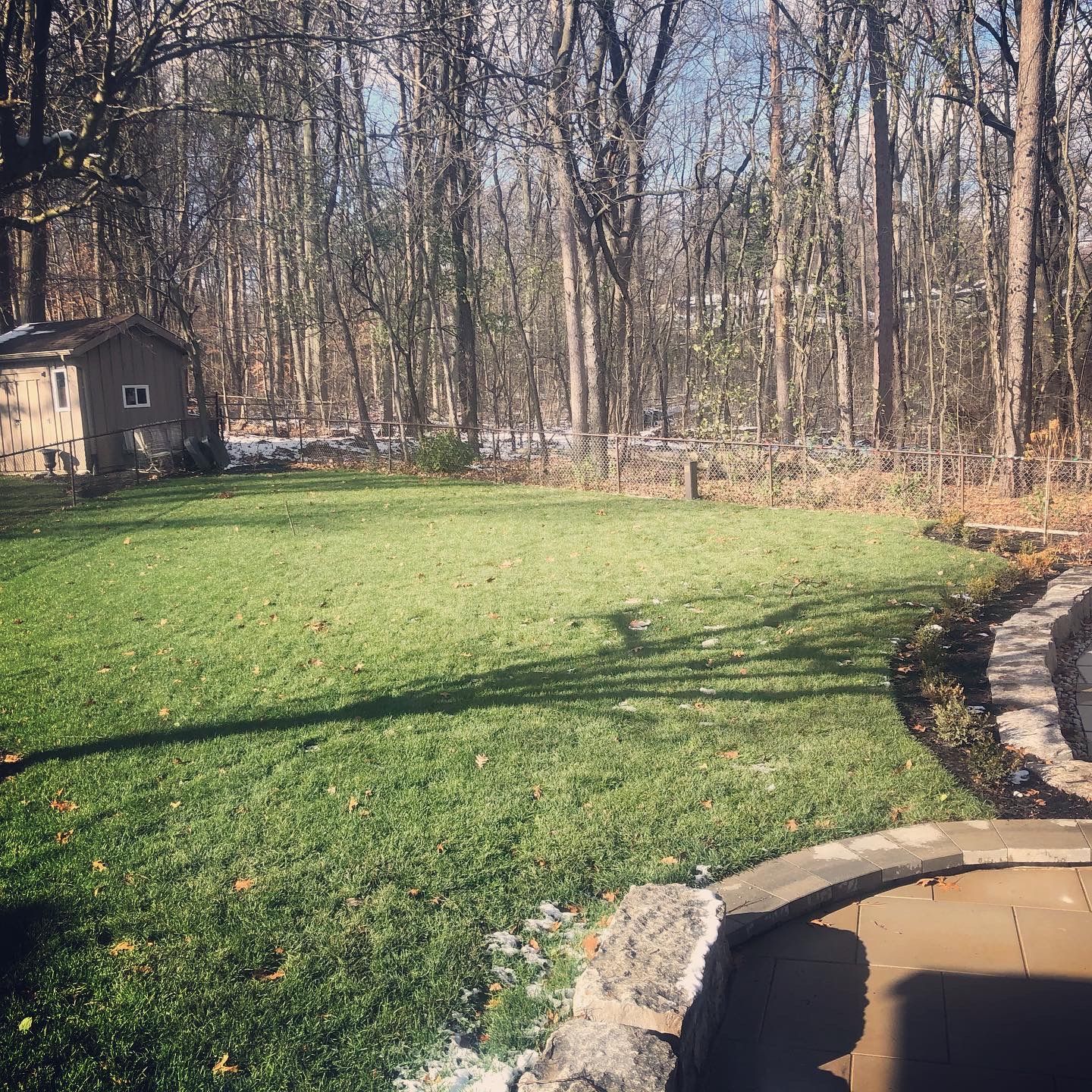 Delange- EVERGREEN MIST