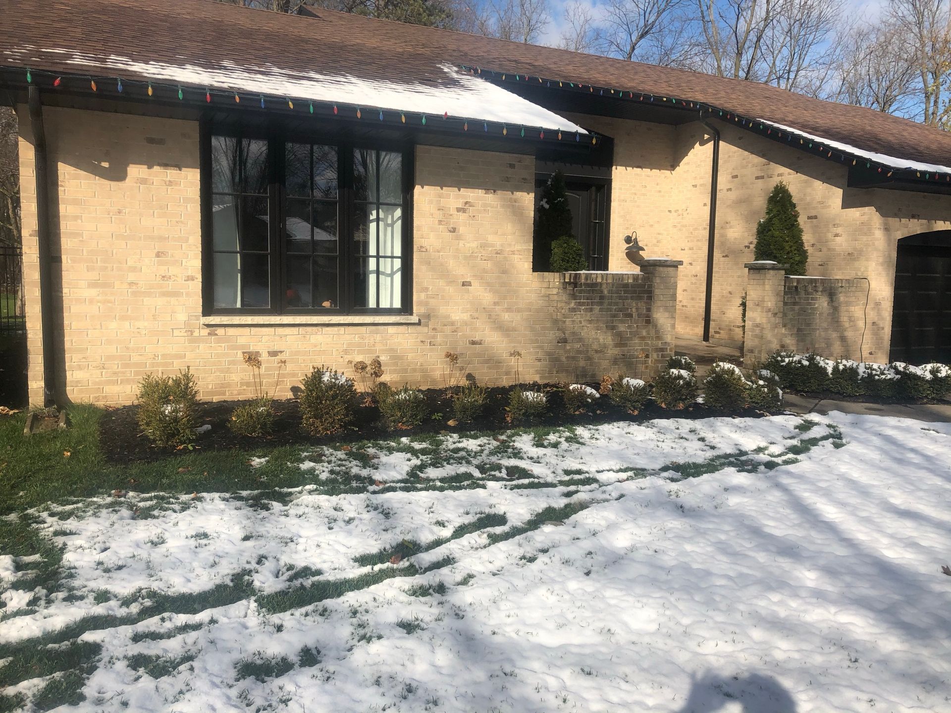 Delange- EVERGREEN MIST