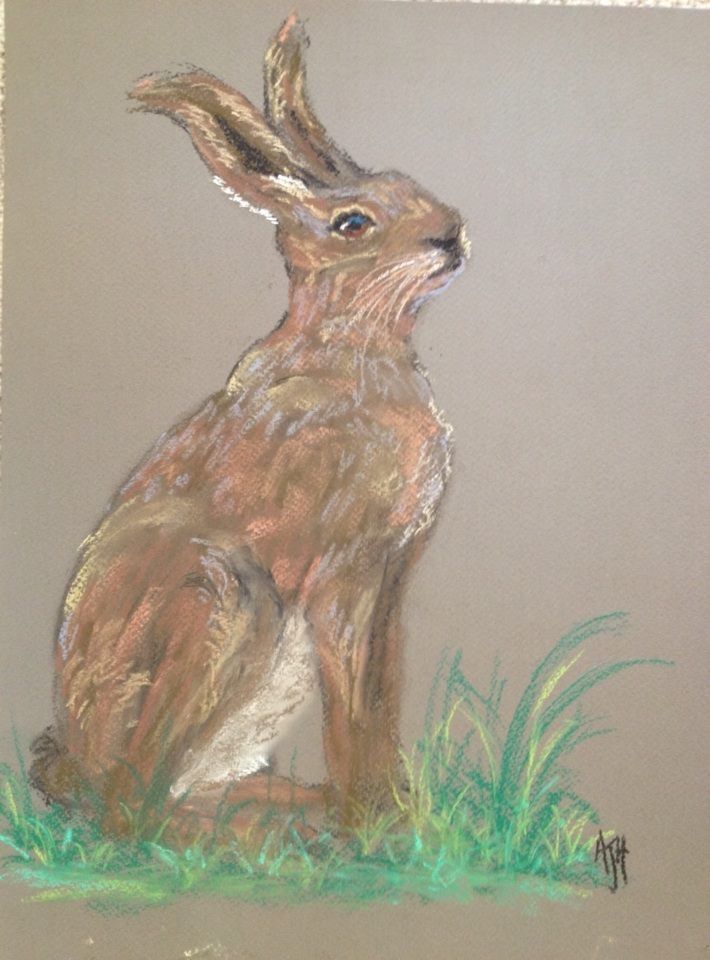 Hare pastel artwork by Amanda Sivewright