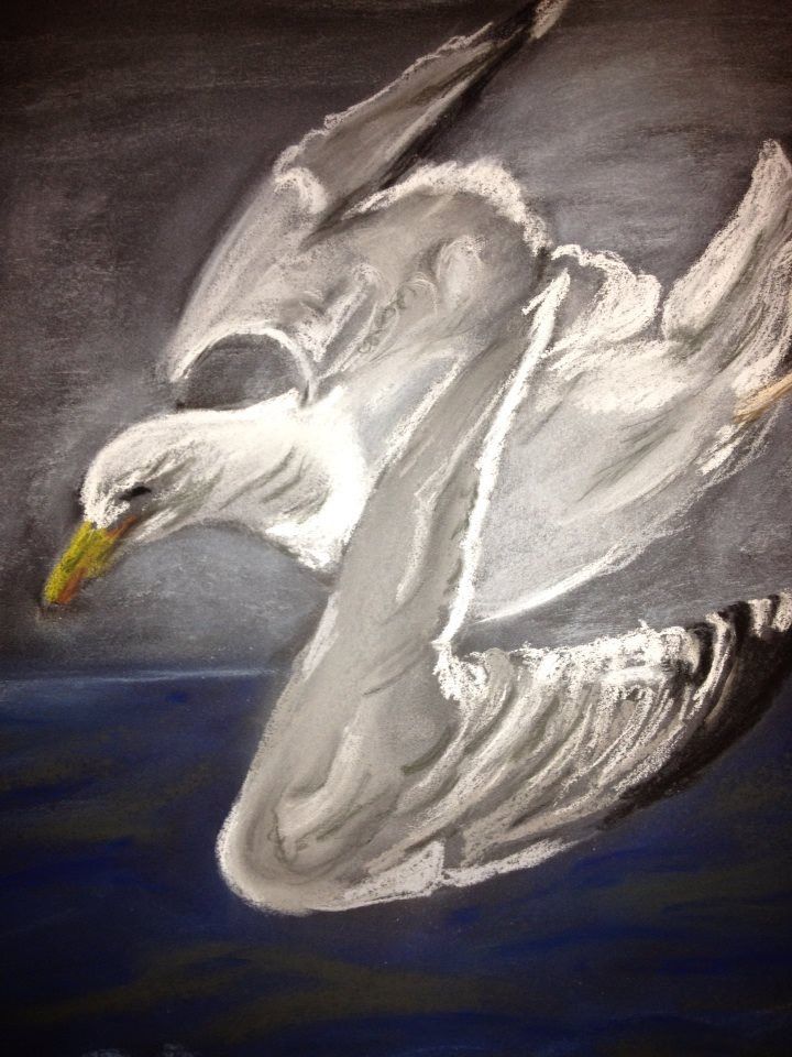 Seagull painting by Amanda Sivewright