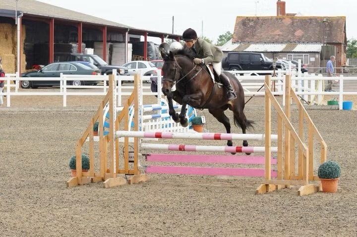 Horse and rider developing confidence and technique over show jumps