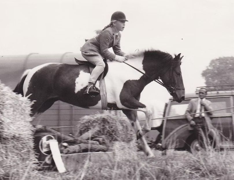 Black-and-white horse-and-rider clearing a jump in a field