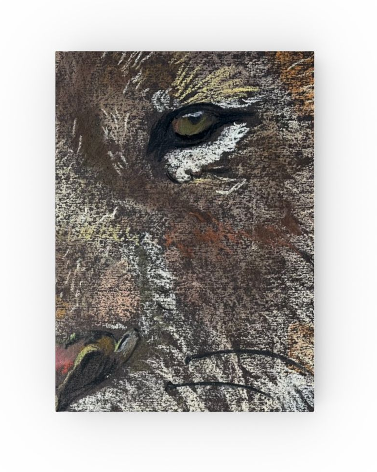 Lion Face Illustrated Hardback Journal | Wildlife Sketch Notebook