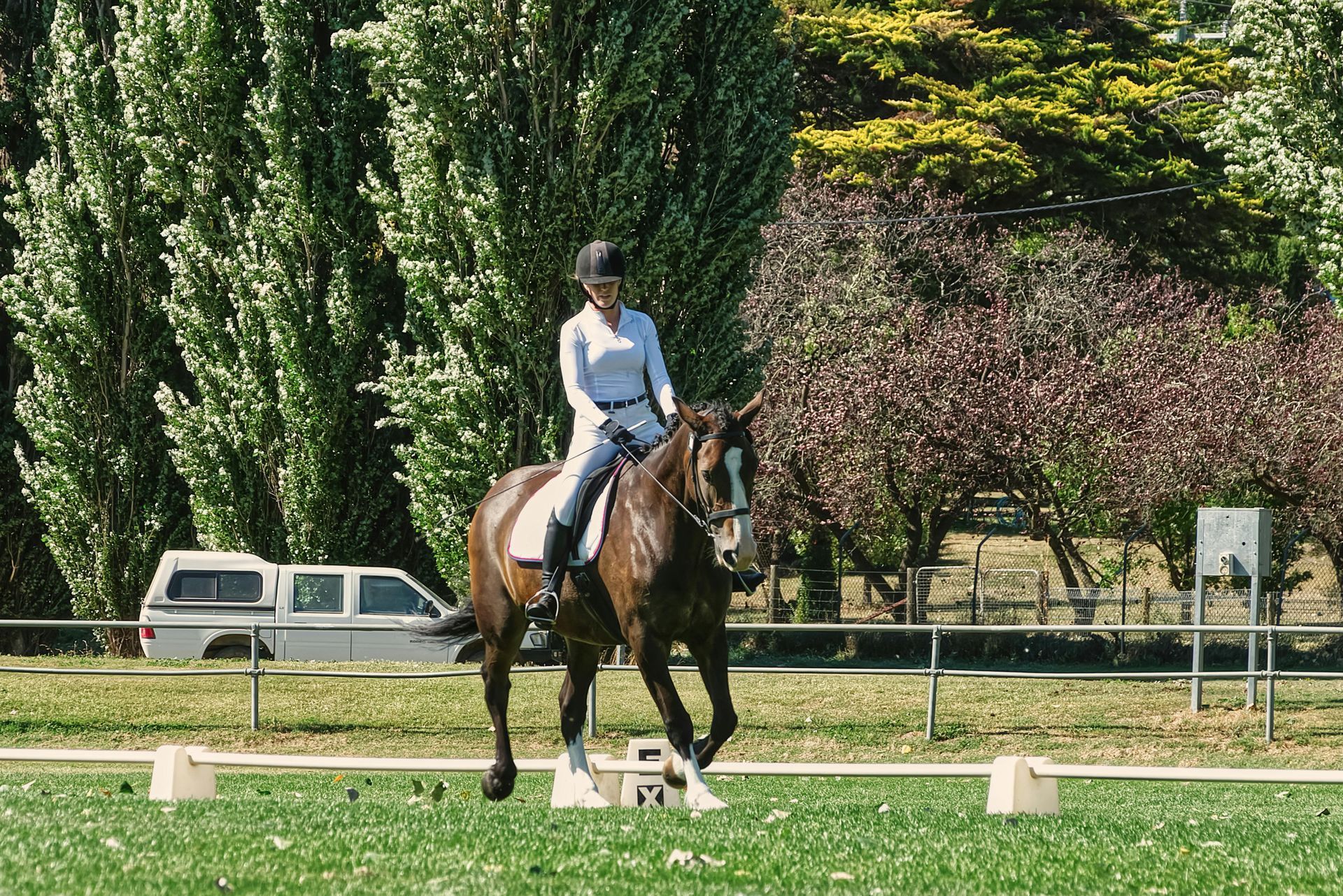 Dressage rider training horse balance and connection during coaching session
