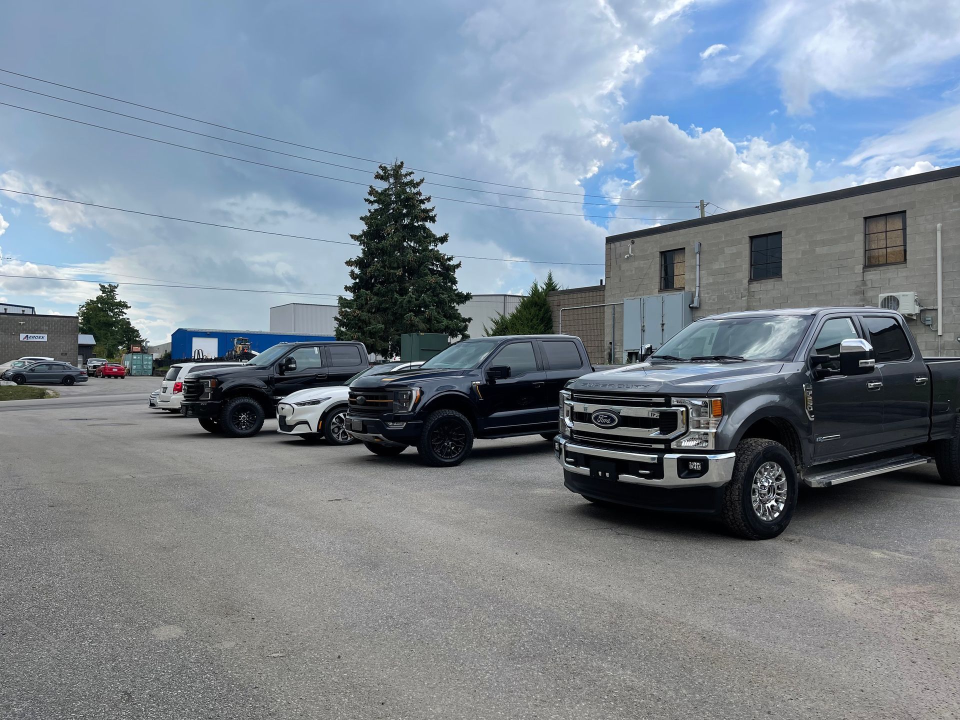 Several parked pickup trucks in an outdoor lot on a cloudy day, with a building and large tree in the background.