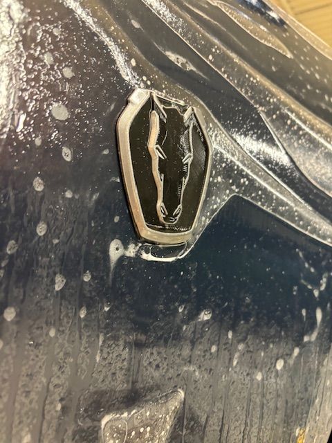 Paint Protection Film Services