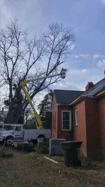 A man is cutting a tree in front of a house.