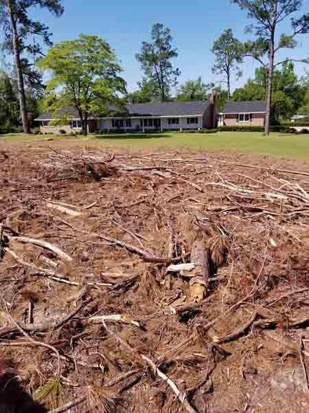 There is a house in the background and a pile of branches in the foreground.