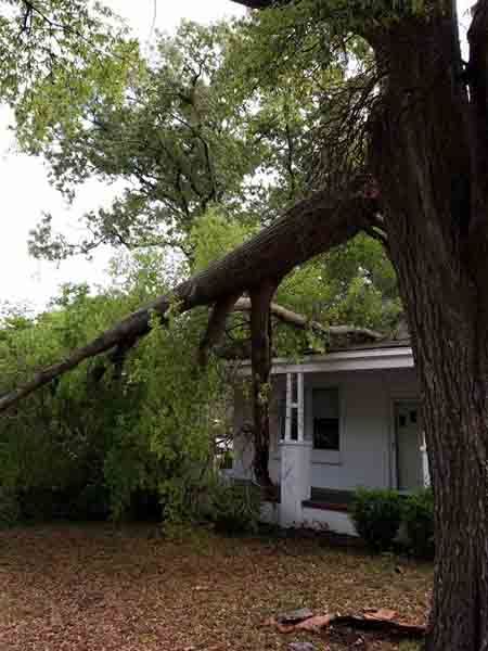 A tree has fallen on top of a house.