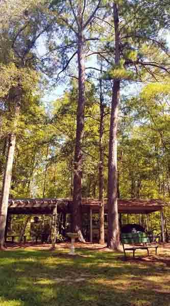 There is a carport in the middle of the woods.