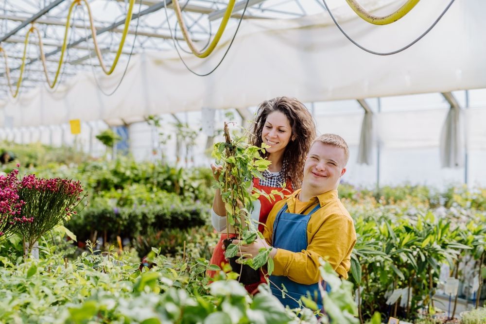 A Man and a Woman Are Working in a Greenhouse — Supportability Care Services in West Rockhampton, QLD
