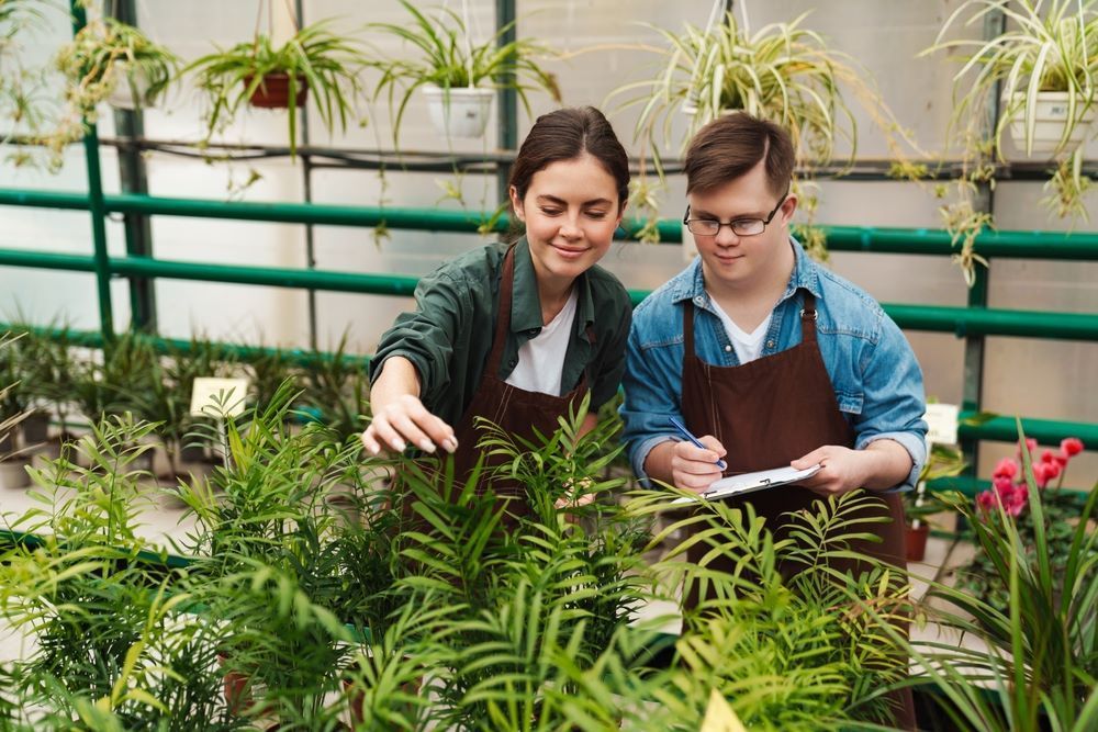 A Man and a Woman Are Looking at Plants in a Greenhouse — Supportability Care Services in West Rockhampton, QLD