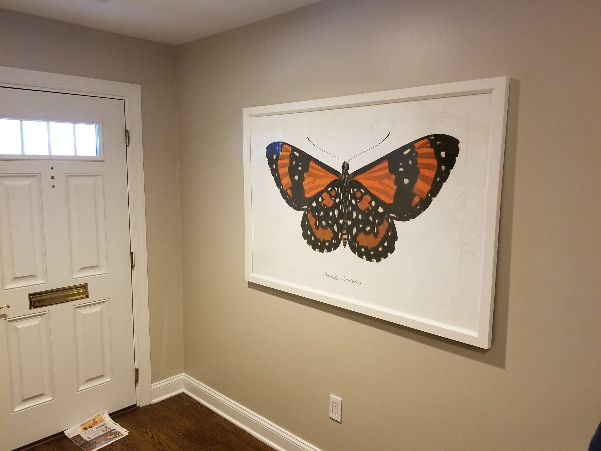 White-framed butterfly art on a beige wall in an entryway, next to a white door.