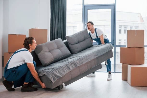 Two movers in blue overalls carrying a gray sofa in a room with boxes and a window.