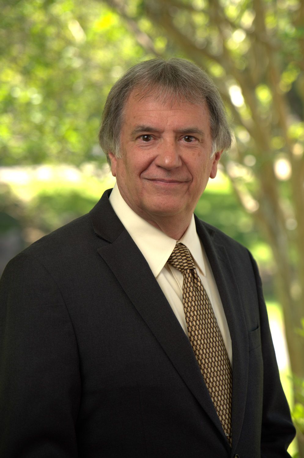 Gregory Veillon