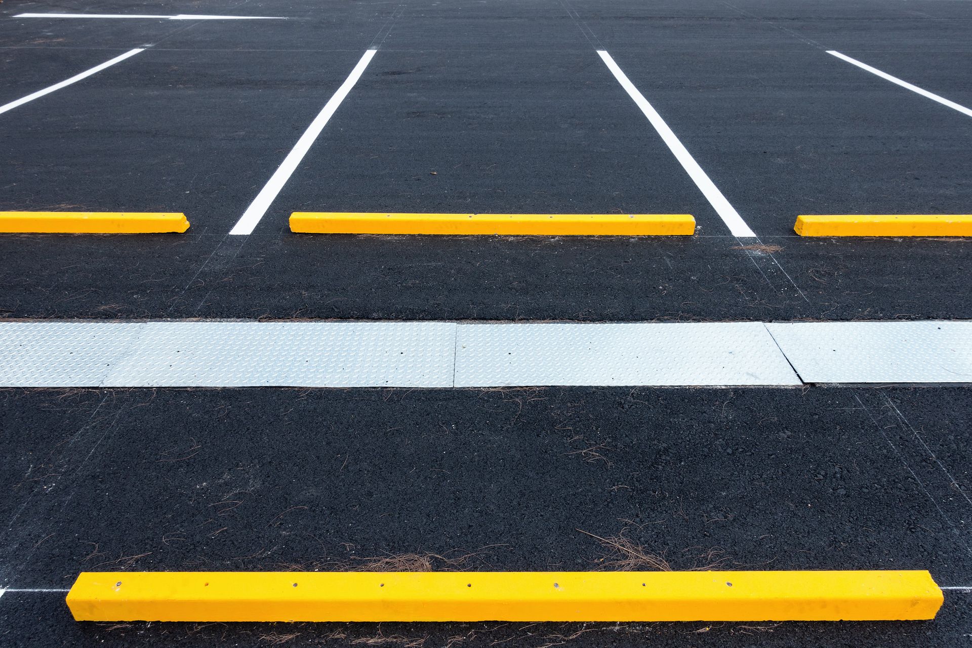 A parking lot with yellow curbs and white lines.