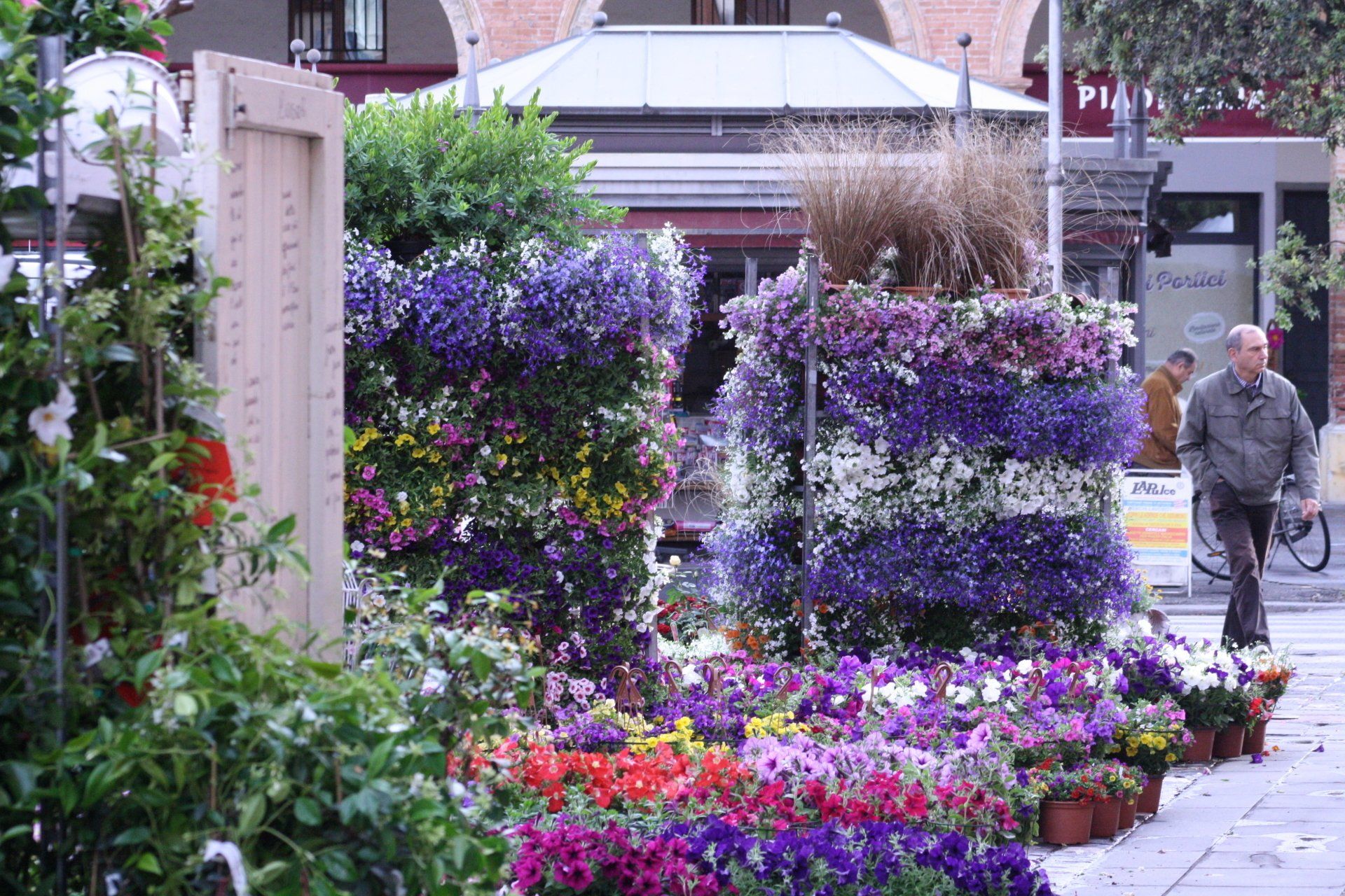 Aleestimento floreale