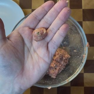 Una mano tiene un pezzo di carne davanti a una ciotola