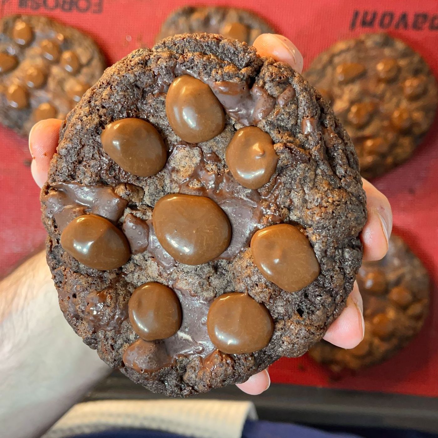 Una persona tiene in mano un biscotto con gocce di cioccolato