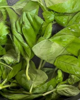 Un mucchio di foglie verdi è appoggiato su un tavolo.