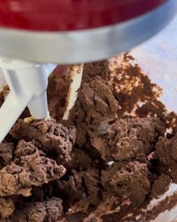 Un mixer sta mescolando una sostanza marrone in una ciotola