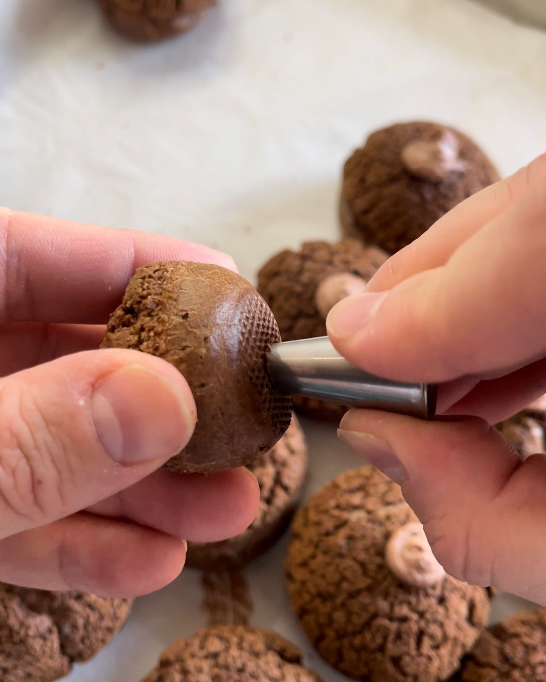 Una persona tiene in mano un biscotto al cioccolato.