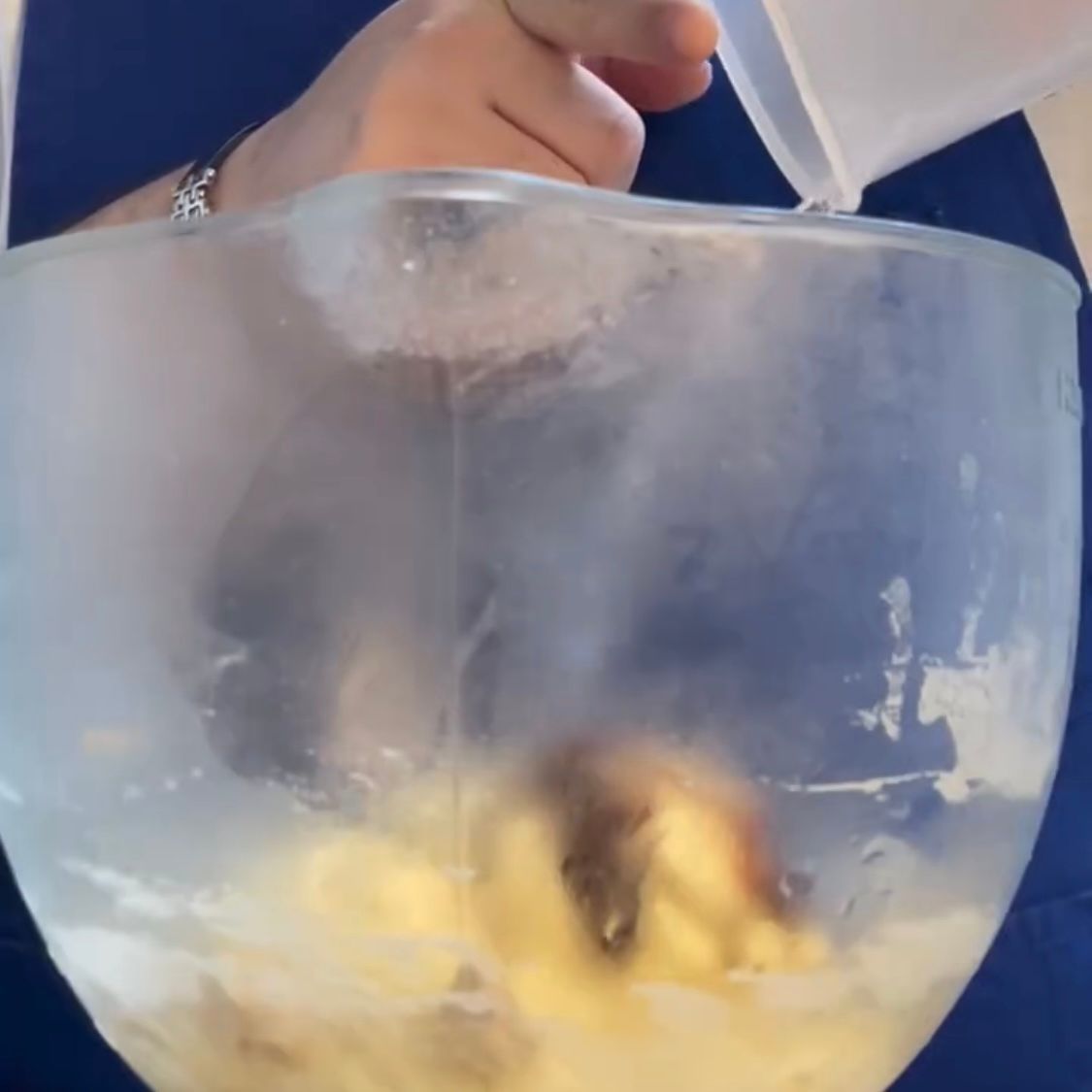 Una persona sta versando del liquido in una ciotola trasparente