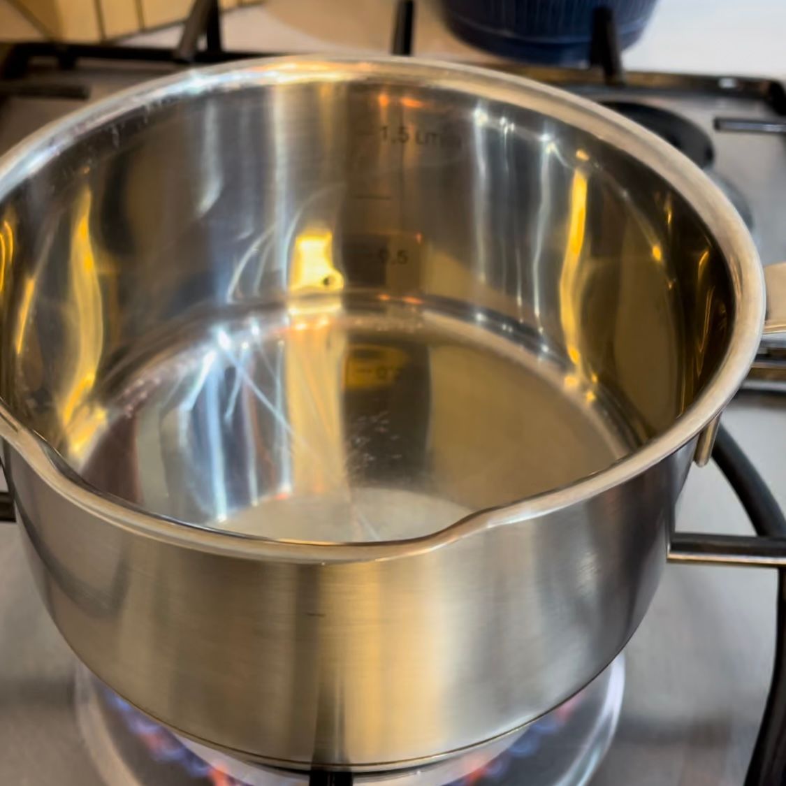 Una pentola di acciaio inossidabile è appoggiata sopra un fornello