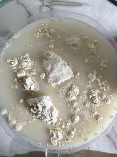 Primo piano di una ciotola piena di liquido con delle pietre dentro.