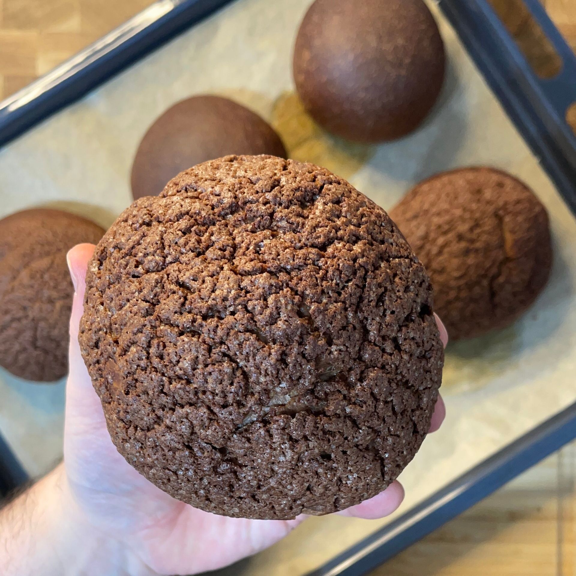 Una persona tiene in mano un biscotto al cioccolato