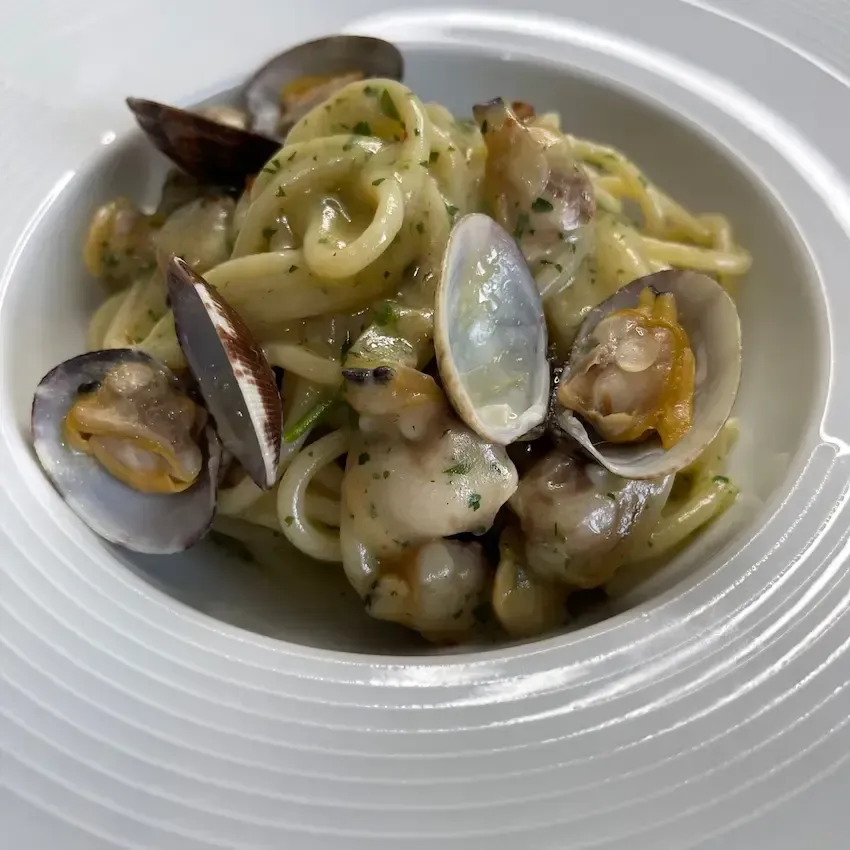 Primo piani di un Piatto di spaghetti alle vongole cremosi, mantecati con prezzemolo fresco e vongole veraci.